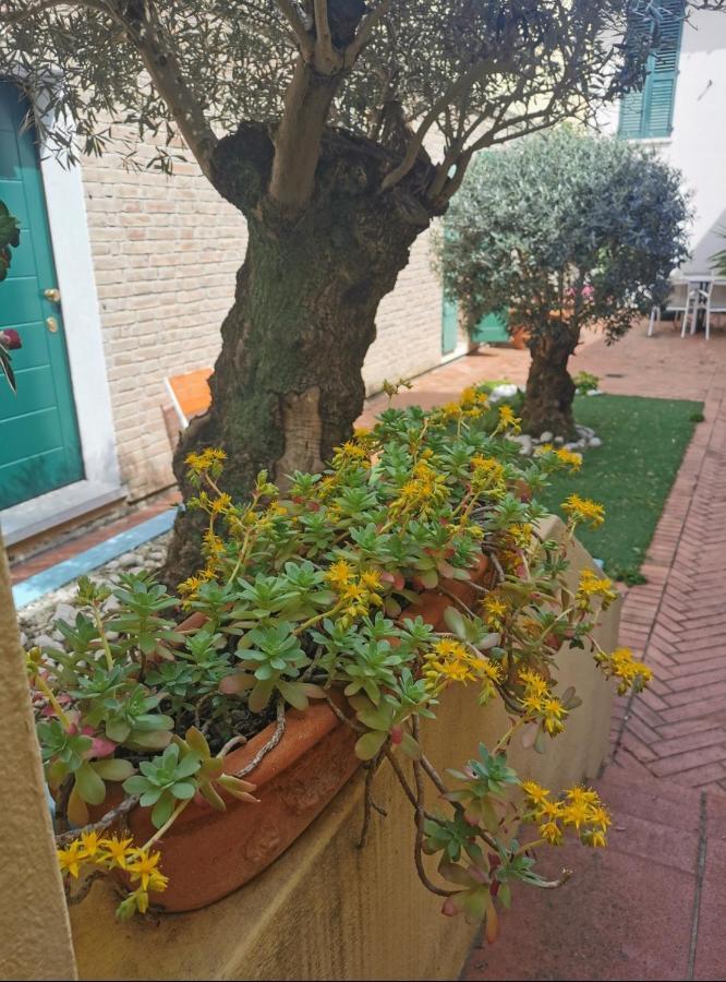 B&B La Chicca Ravenna Eksteriør bilde