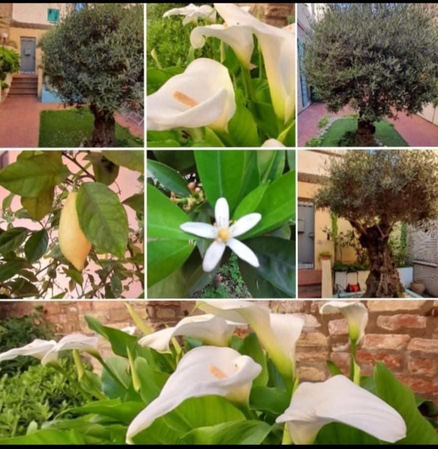 B&B La Chicca Ravenna Eksteriør bilde